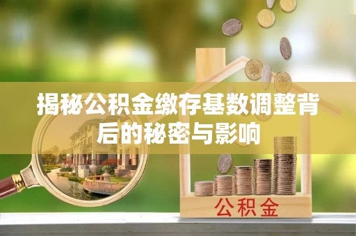 淇滨揭秘公积金缴存基数调整背后的秘密与影响