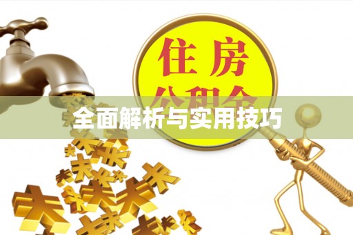 淇滨全面解析与实用技巧