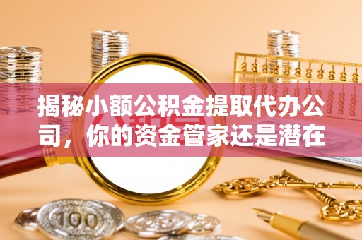 淇滨揭秘小额公积金提取代办公司，你的资金管家还是潜在风险？