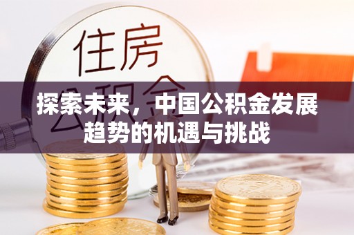 淇滨探索未来，中国公积金发展趋势的机遇与挑战