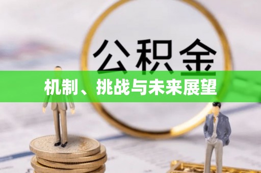 淇滨机制、挑战与未来展望