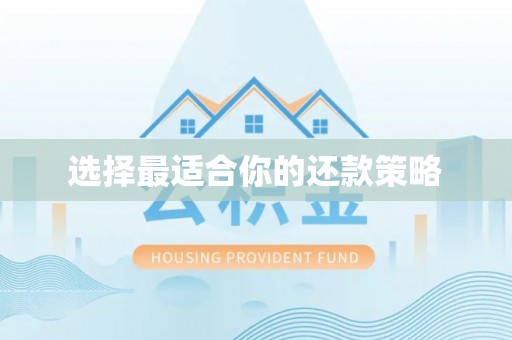 淇滨选择最适合你的还款策略