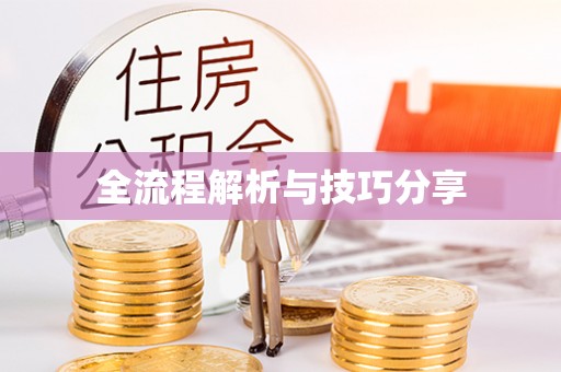 淇滨全流程解析与技巧分享