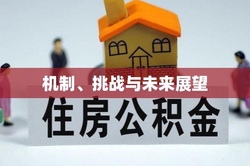 淇滨机制、挑战与未来展望
